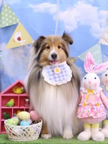 20240327ノアくん